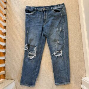 Vervet Light Wash Ripped Jeans-16